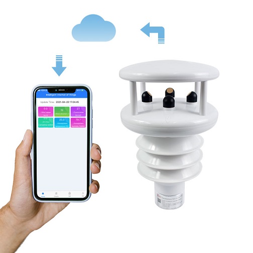 Stazione meteorologica combina - Temperature Humidity Sensor recensione e prezzo